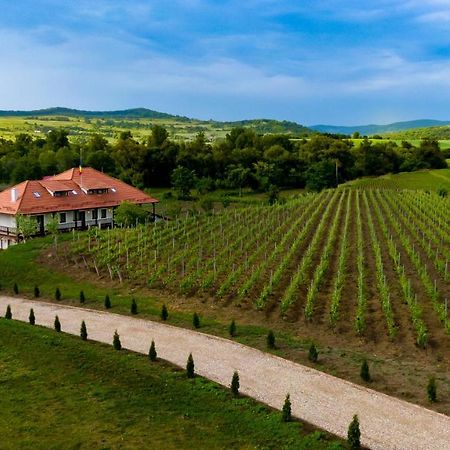 Pensiunea Sonnenhof Сігішоара Екстер'єр фото