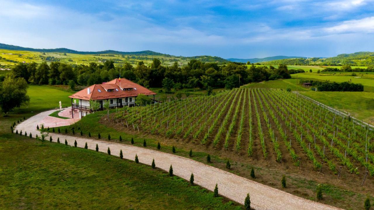 Pensiunea Sonnenhof Сігішоара Екстер'єр фото
